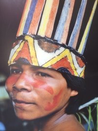 03.18.Page10.Amazonia2.jpg