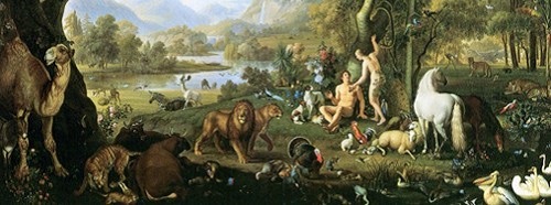 04.17.BIODIVERSITY.BANNER.jpg