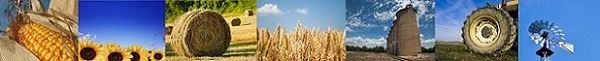 07.18.Page13.Agriculture.jpg