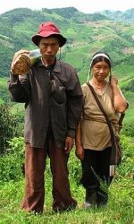 AsianHumansWiki.jpg