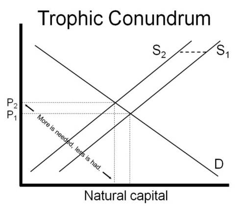 BrianCzechTrophicConundrum