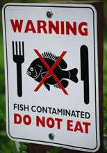 Dietz-Fish-Consumption-Warning.jpg