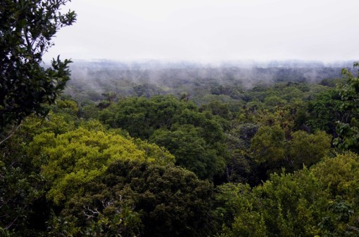 EcosystemFunctionalityPhoto.jpg