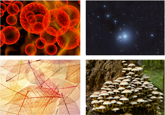 KortenCosmology6.gif