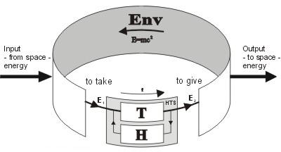 MICHV5N10P2F2