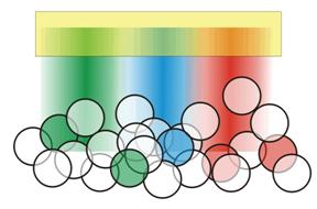 Figure 5 The ecosystem of expertise.