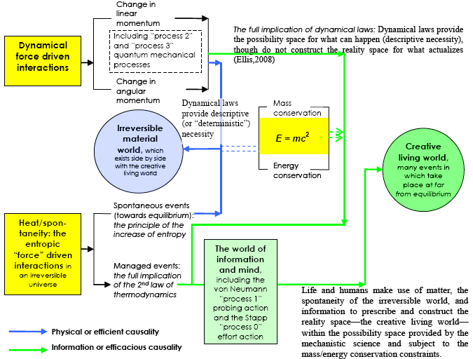 Figure 2 Ecological naturalism: a world of efficient and efficacious causation.