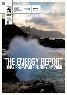 WWF-Energy-Report-Cover