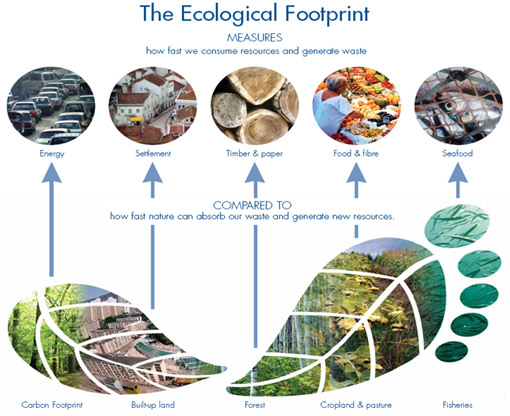 ecological-footprint-concept