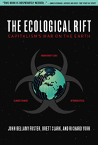 ecologicalrift140.jpg