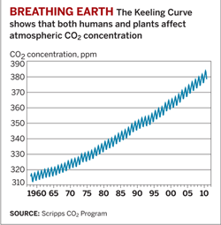 >Breathing Earth The Keeling Curve shows that both humans and plants affect atmospheric CO2 concentration