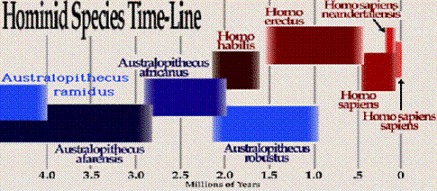 wilderdomhumanevolutionchart